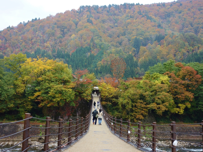 f:id:kokunai3333:20121110003617j:image f:id:kokunai3333:20121110003617j:image