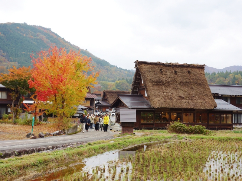 f:id:kokunai3333:20121110003628j:image f:id:kokunai3333:20121110003628j:image