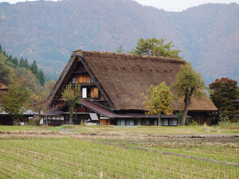 f:id:kokunai3333:20121110003634j:image f:id:kokunai3333:20121110003634j:image