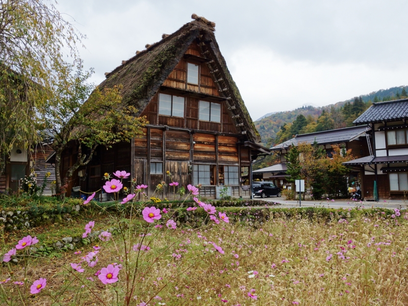 f:id:kokunai3333:20121110003658j:image f:id:kokunai3333:20121110003658j:image