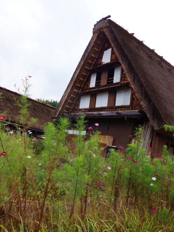 f:id:kokunai3333:20121110125213j:image:w440 f:id:kokunai3333:20121110125213j:image:w440