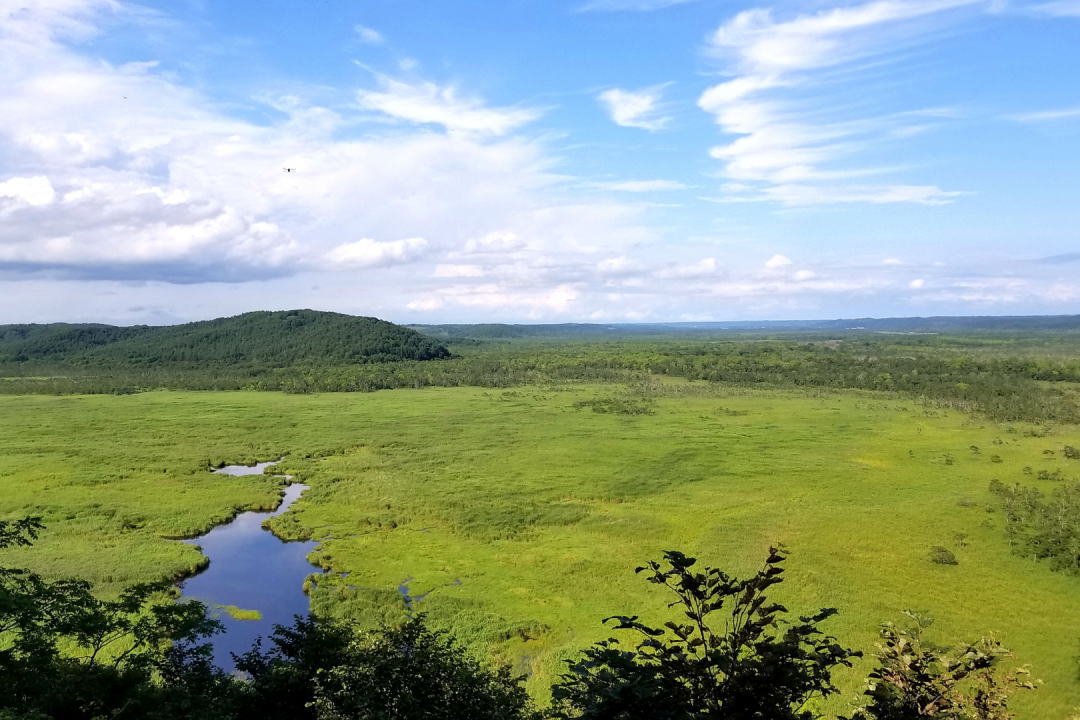 コッタロ湿原展望台｜北海道 - 国内観光