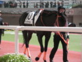 [出資馬]アンヴァルト　新馬戦優勝　2010.03.21　(1)