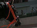 [出資馬]アンヴァルト　新馬戦優勝　2010.03.21　(2)