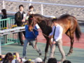 [馬]コスモバルク　引退式　門別競馬場