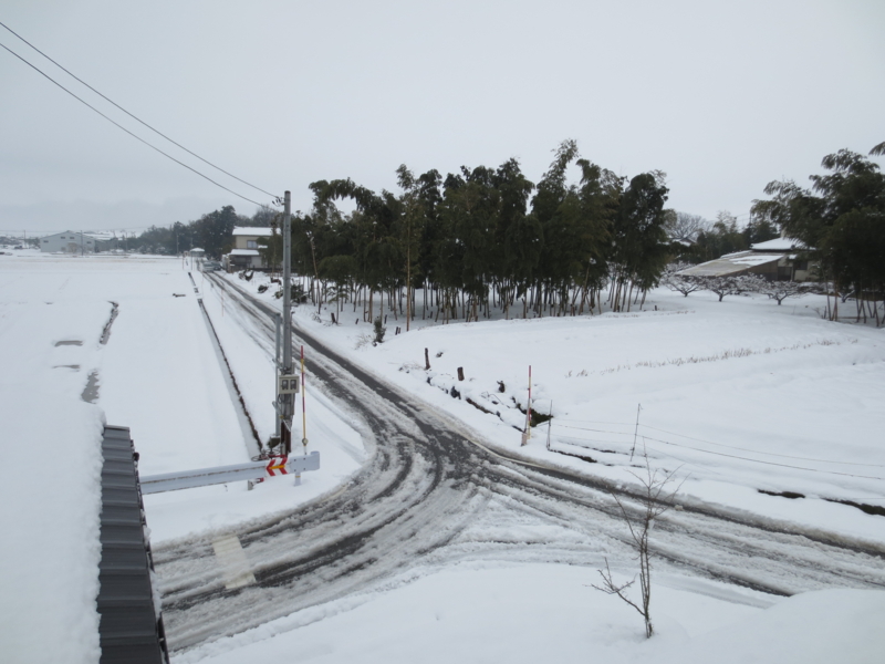 f:id:kokusaihoken:20130101151606j:image:w360