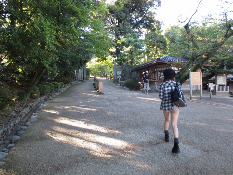 f:id:kokusaihoken:20140914130418j:image f:id:kokusaihoken:20140914130418j:image