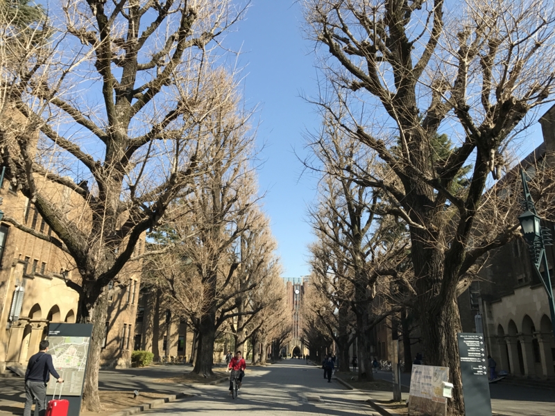 f:id:kokusaihoken:20170201130838j:image:w360