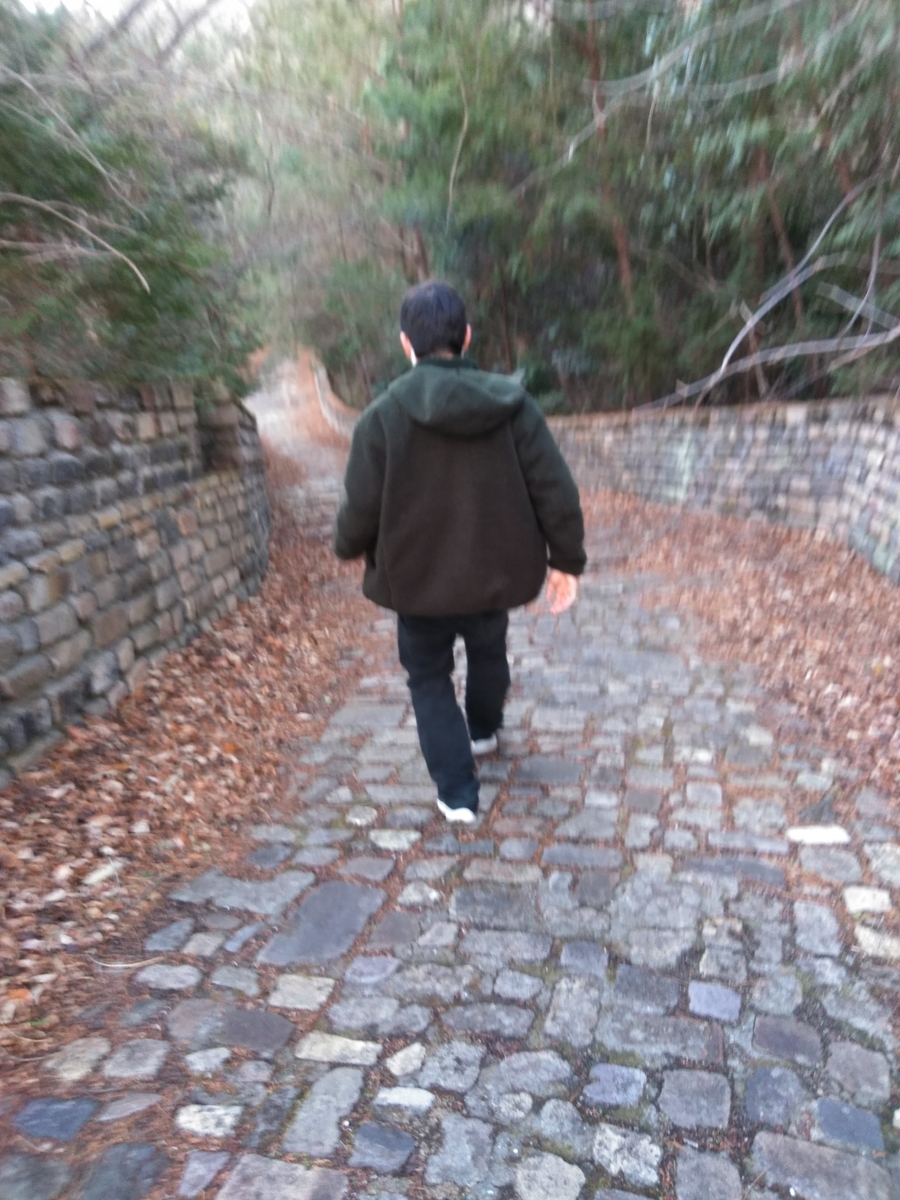f:id:kokuuhma154:20210111011617j:plain