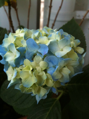 f:id:kokuzawa:20100612173343j:image