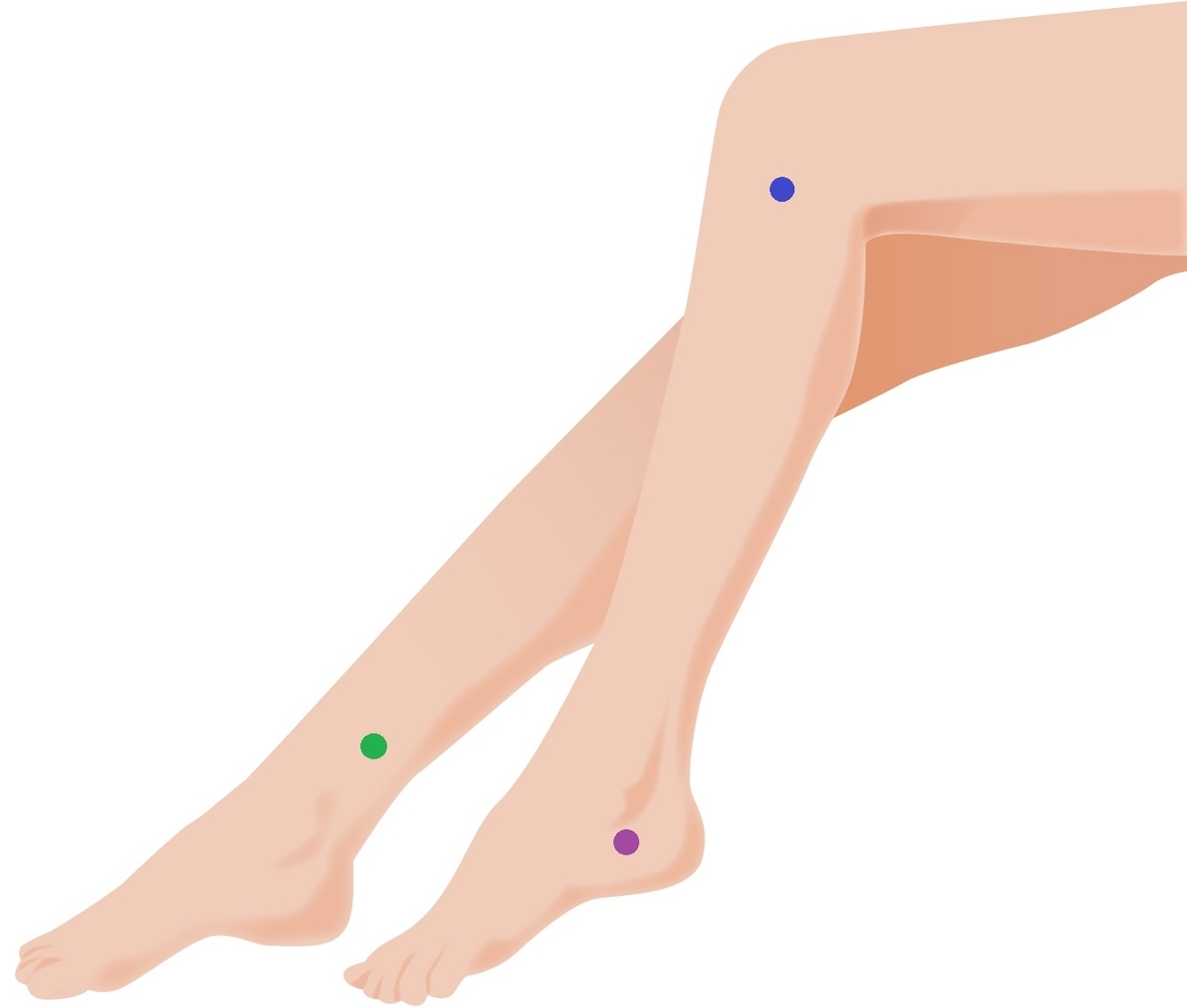 f:id:kokuzo_utopia:20210211120240j:plain