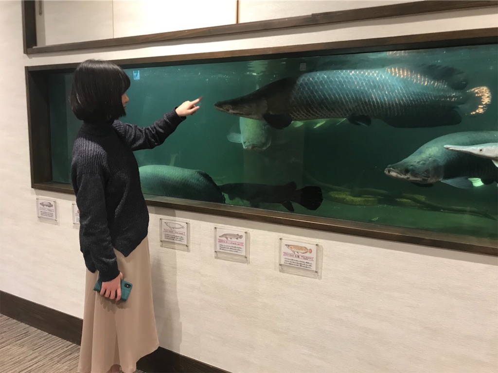 f:id:kokyun-711:20190210235535j:image f:id:kokyun-711:20190210235535j:image