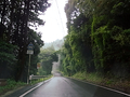 佐賀県道342号 筒井万賀里川線