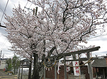 f:id:koma-chi:20160403143911j:image:w300