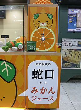 f:id:koma-chi:20180212092510j:image:h300 f:id:koma-chi:20180212092510j:image:h300