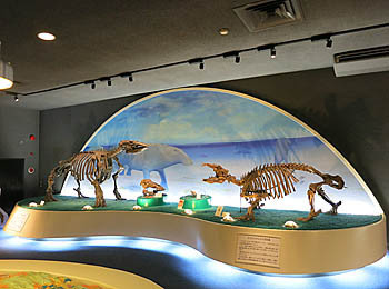 f:id:koma-chi:20180512181736j:image:w300 f:id:koma-chi:20180512181736j:image:w300