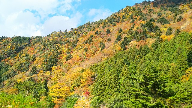 f:id:koma26:20181114062145j:image f:id:koma26:20181114062145j:image