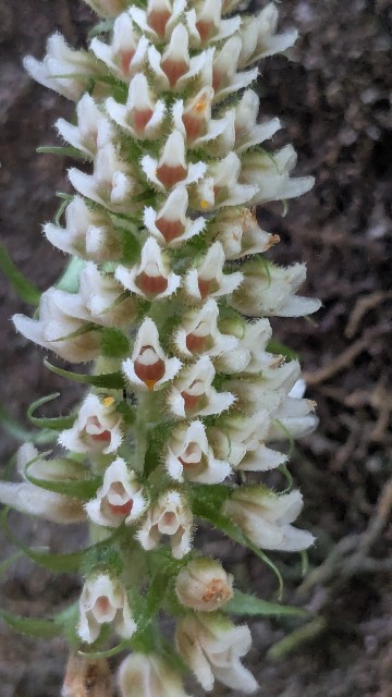 f:id:koma26:20251028223109j:image