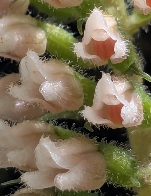 f:id:koma26:20251101135307j:image