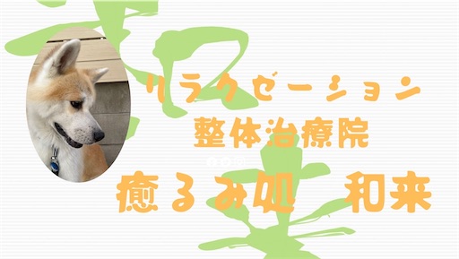 f:id:komachi0410:20220301165149j:image f:id:komachi0410:20220301165149j:image