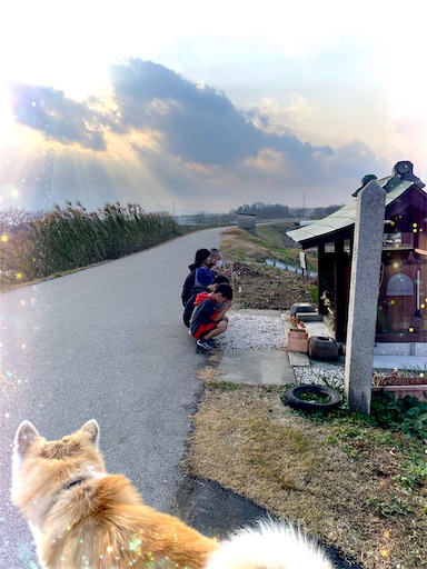 f:id:komachi0410:20240103152307j:image f:id:komachi0410:20240103152307j:image