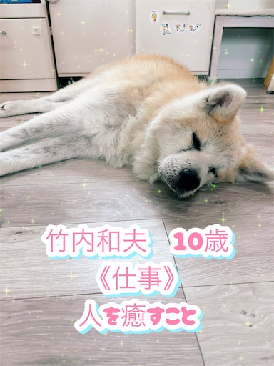 f:id:komachi0410:20260903125539j:image f:id:komachi0410:20260903125539j:image