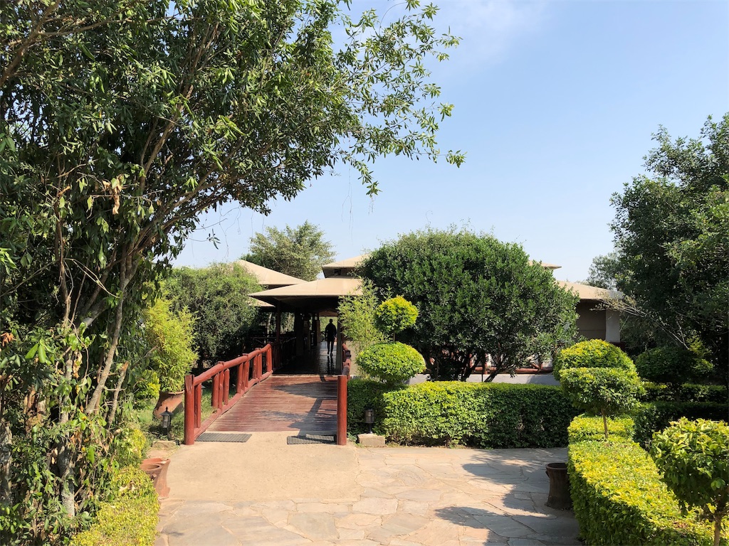 f:id:komachikokokoko:20190906081139j:image f:id:komachikokokoko:20190906081139j:image