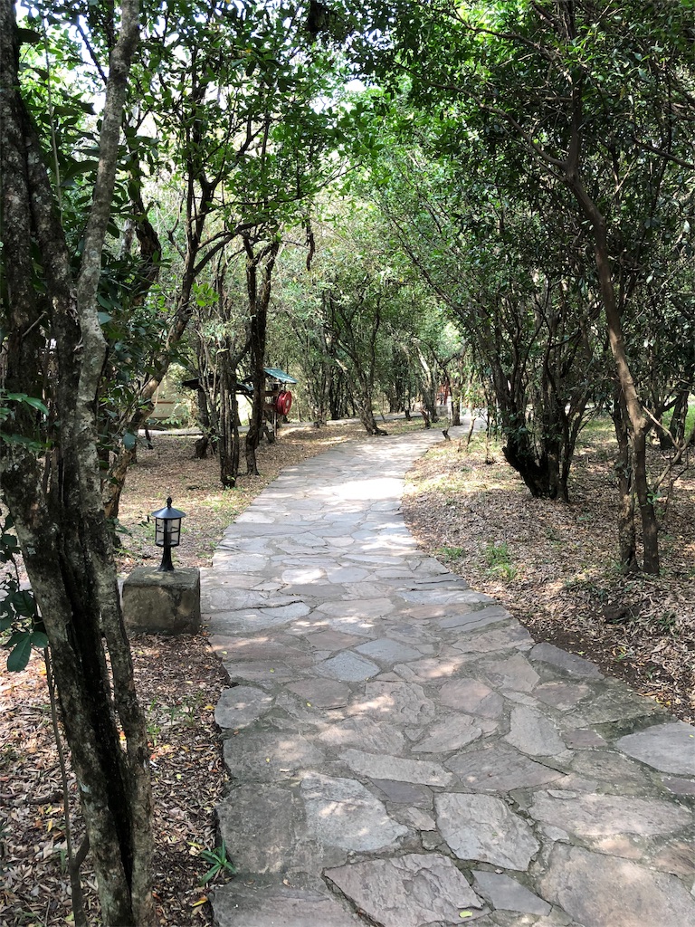 f:id:komachikokokoko:20190907180656j:image f:id:komachikokokoko:20190907180656j:image