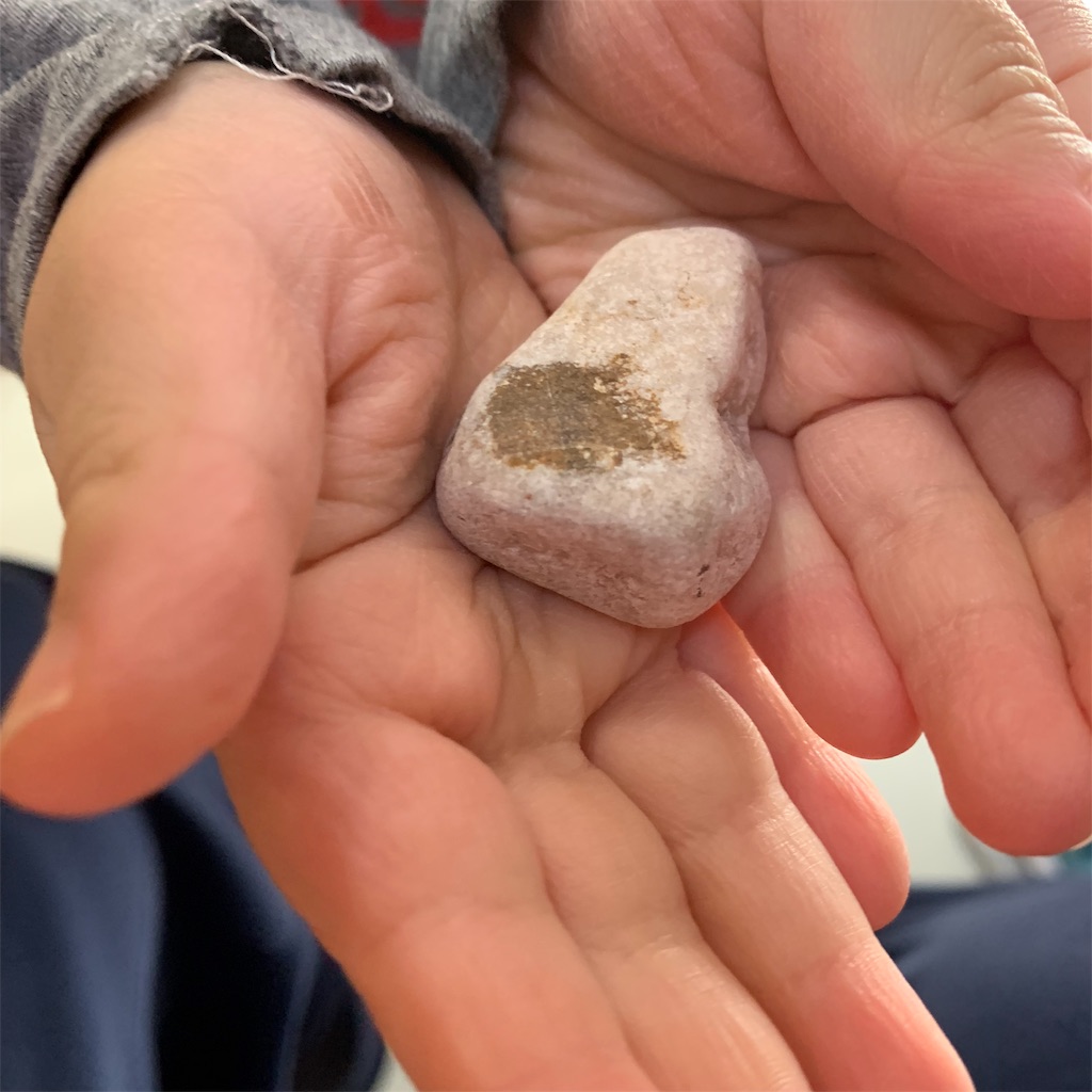 f:id:komachon17:20190216224557j:image f:id:komachon17:20190216224557j:image