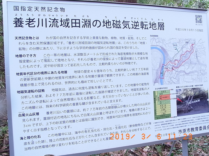チバニアン」露頭観察 - 駒ヶ岳ファンクラブ