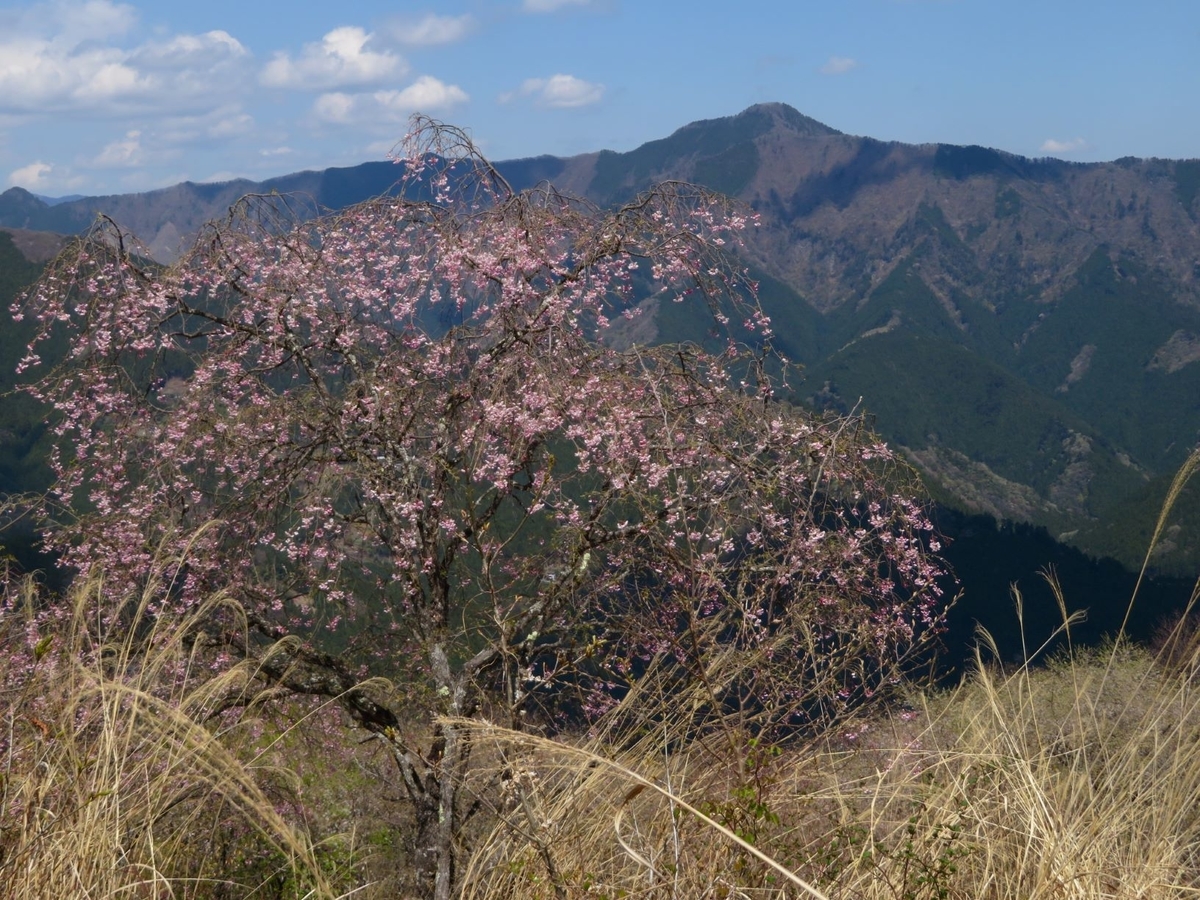 f:id:komafun:20210414215404j:plain