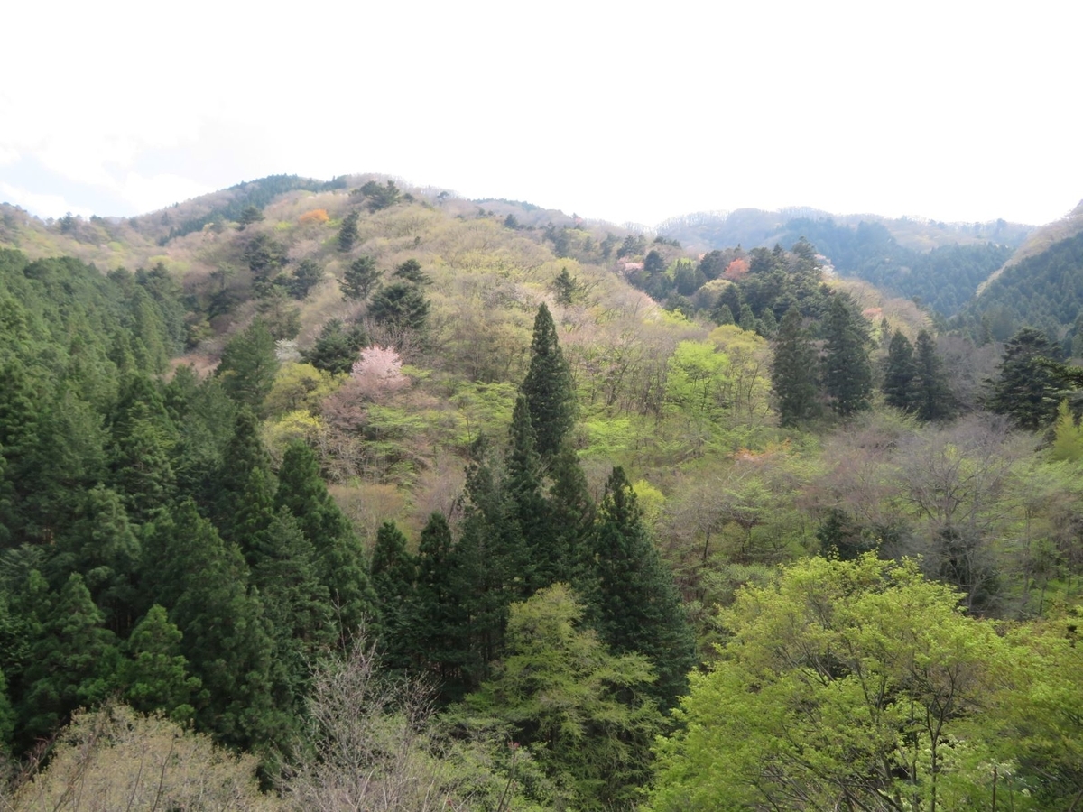 f:id:komafun:20210414215736j:plain