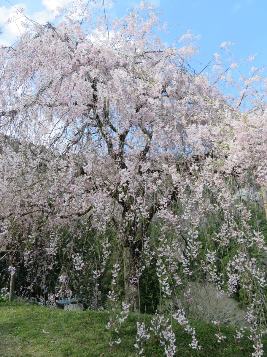 f:id:komafun:20210414215828j:plain