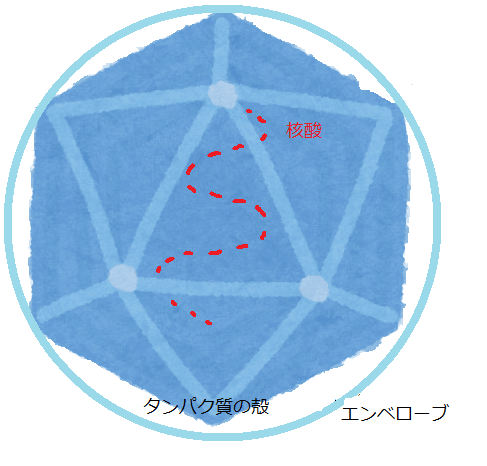 f:id:komagomepipette:20200418235914p:plain
