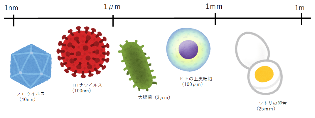 f:id:komagomepipette:20200419231107p:plain f:id:komagomepipette:20200419231107p:plain