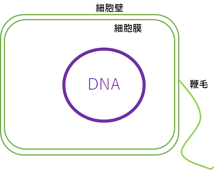 f:id:komagomepipette:20200425152845p:plain f:id:komagomepipette:20200425152845p:plain