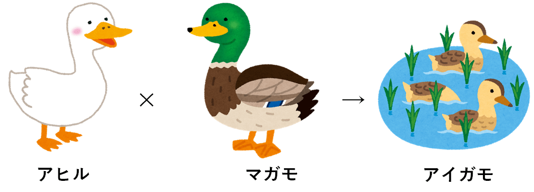 f:id:komagomepipette:20200601040016p:plain