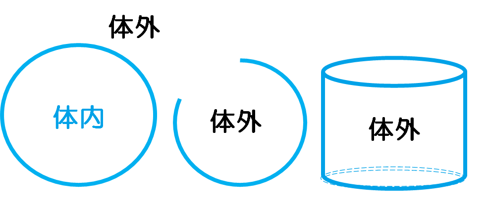 f:id:komagomepipette:20201030133730p:plain f:id:komagomepipette:20201030133730p:plain