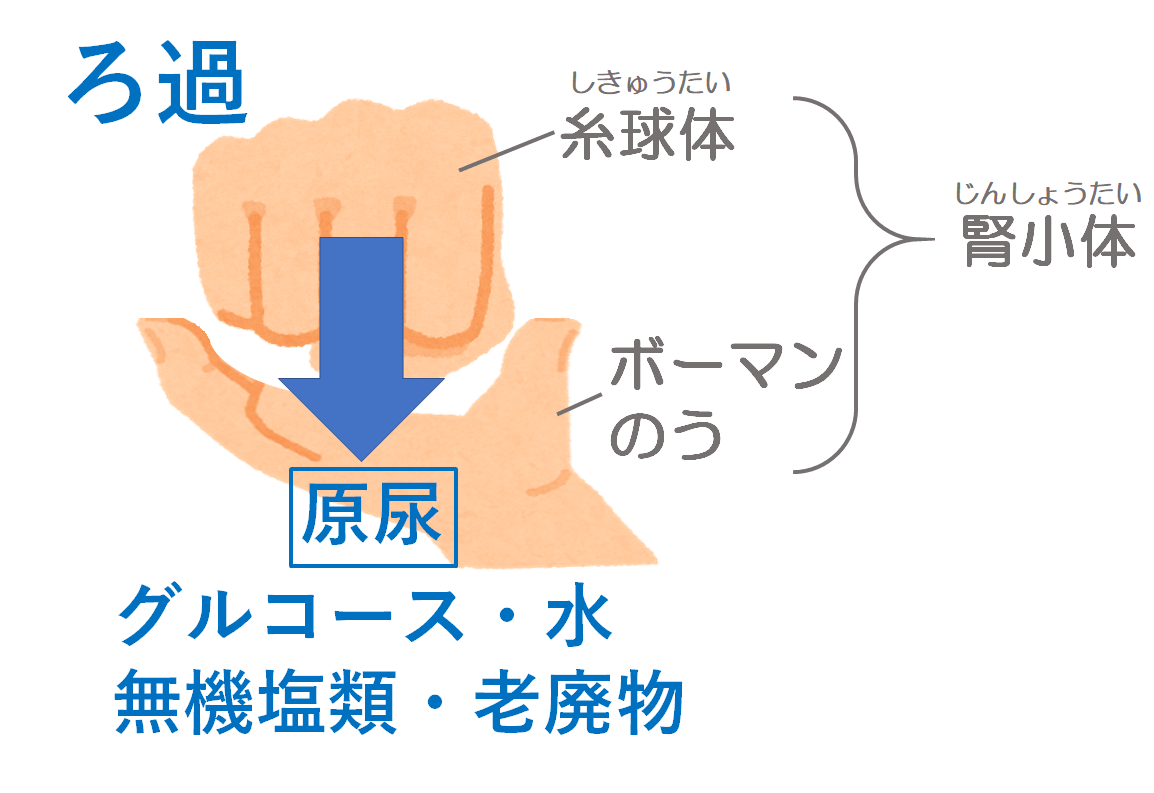 f:id:komagomepipette:20201102010115p:plain