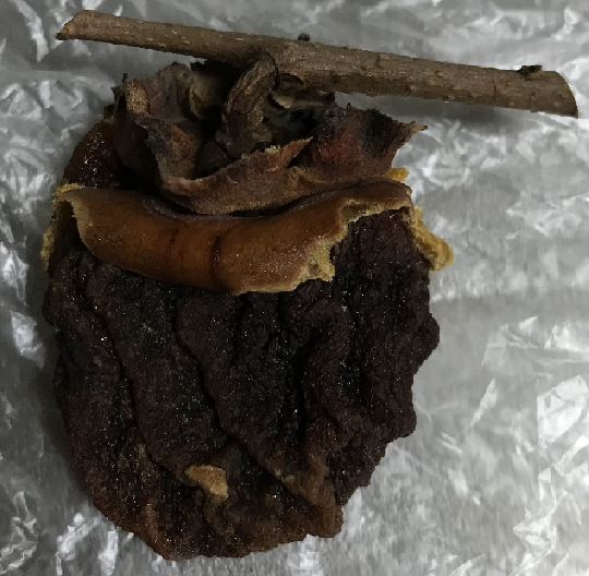 f:id:komagomepipette:20201209062319p:plain