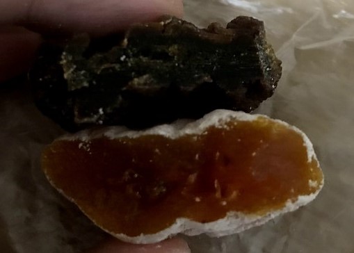 f:id:komagomepipette:20210106142519j:plain