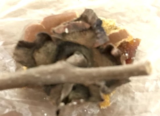 f:id:komagomepipette:20210106143429j:plain