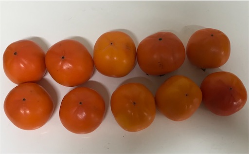 f:id:komagomepipette:20221106090836j:image