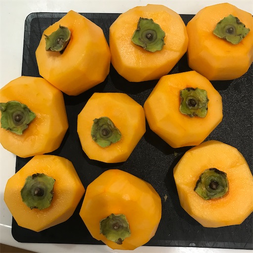 f:id:komagomepipette:20221106091735j:image