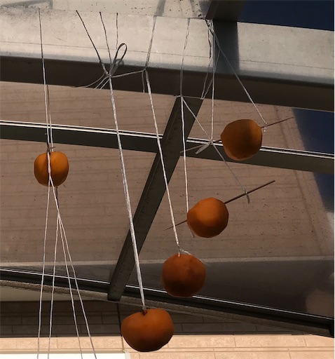 f:id:komagomepipette:20221106093516j:image