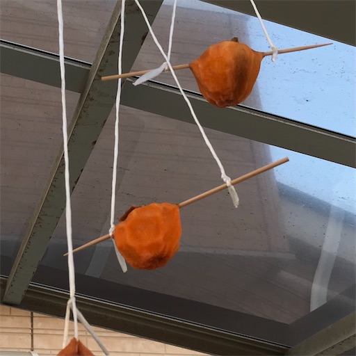 f:id:komagomepipette:20221114115851j:image