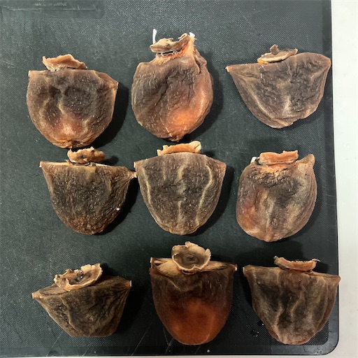 f:id:komagomepipette:20221127204542j:image