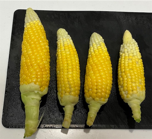 f:id:komagomepipette:20230730160331j:image