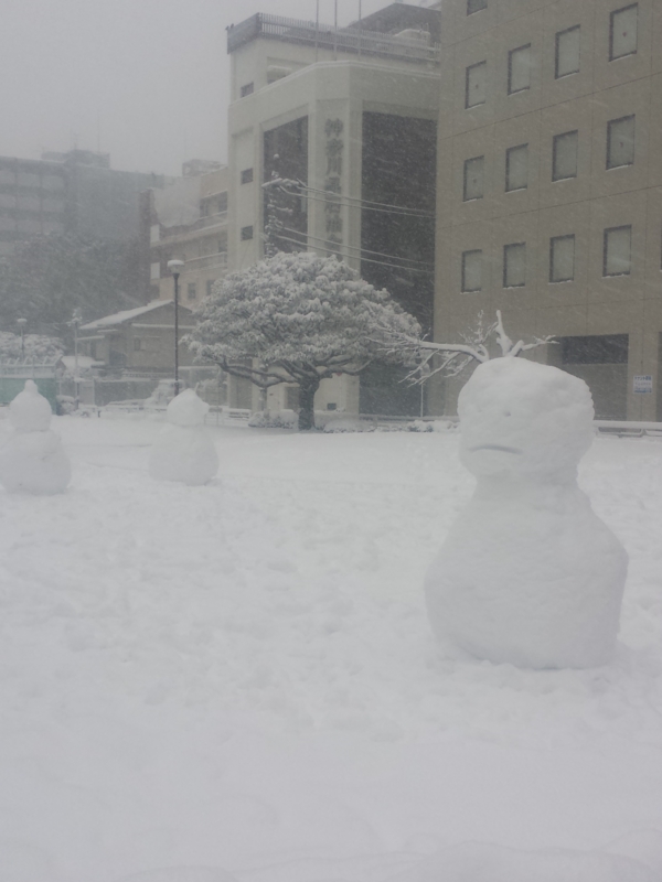 f:id:komagometonari:20140208150211j:image:w300 f:id:komagometonari:20140208150211j:image:w300