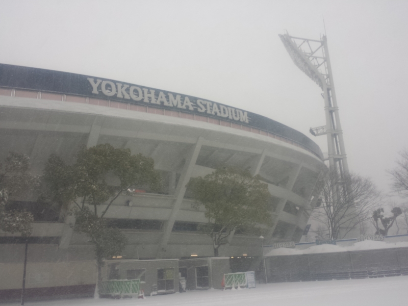 f:id:komagometonari:20140208150837j:image:w400 f:id:komagometonari:20140208150837j:image:w400